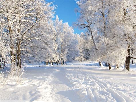 winter wallpapers for desktop|free printable winter background.